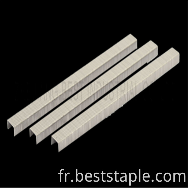 Hardware Long Niles Fine Wire Staples